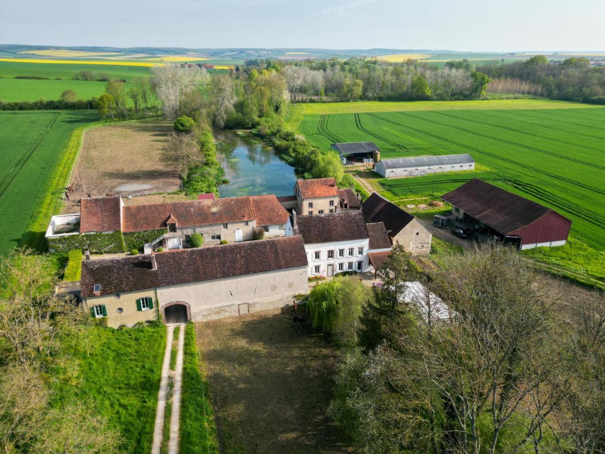 Villa Le Moulin Neuf Brienon-sur-Armançon Exterior foto