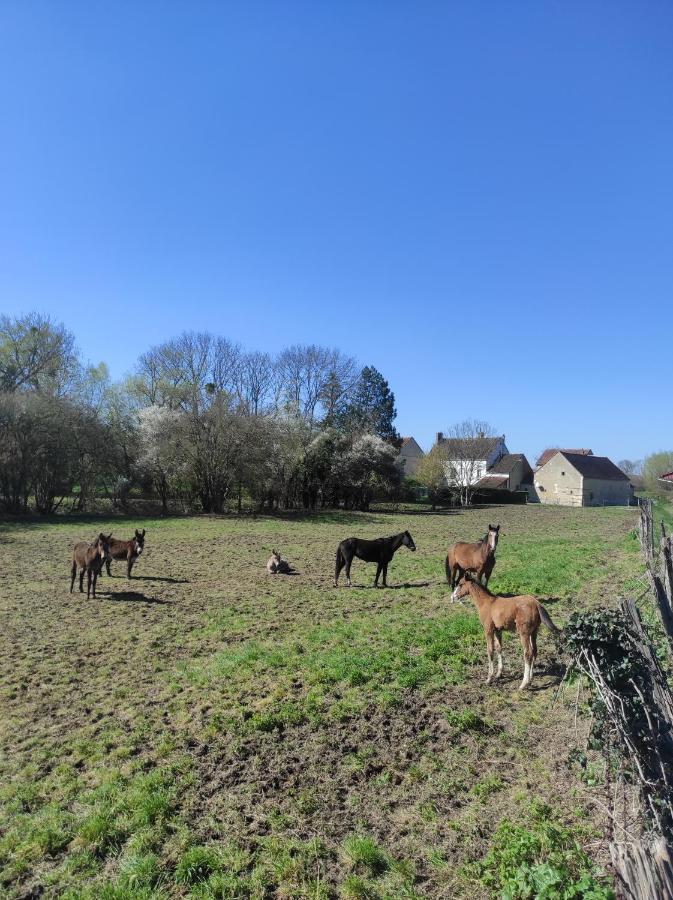 Villa Le Moulin Neuf Brienon-sur-Armançon Exterior foto